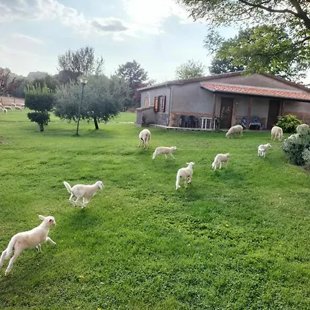 Fra Viaco Agriresort * Valentano